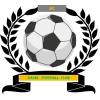 https://img.cxyongyuan.com/img/football/team/6dc6d59af2f0962597b412473a6708ee.png