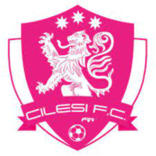 https://img.cxyongyuan.com/img/football/team/7aa0eae9d284e6aab302a00cb5107481.png