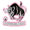 https://img.cxyongyuan.com/img/football/team/97c3ef30cac48cadff97605e387feefa.png